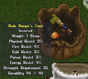 Rude Ranger's Tunic