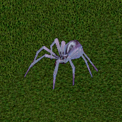 Frost Spider