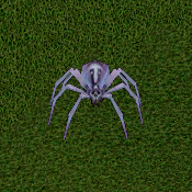 Frost Spider