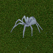 Snowy Frost Spider