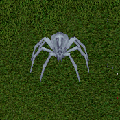 Snowy Frost Spider