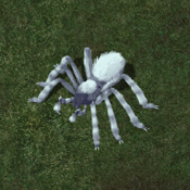 Snowy Frost Spider