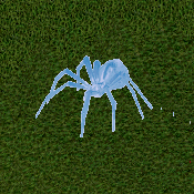 Glacial Frost Spider