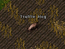 hog1
