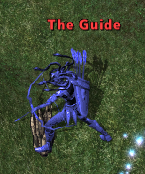 The Guide