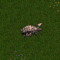 Agapite Iron Beetle