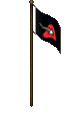 Blackbeard Flag