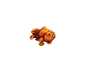 Frogfish