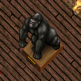 gorilla