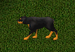 rott3