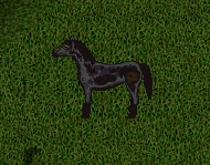 Shadowmane