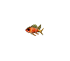 Squirrelfish