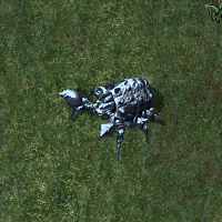 Valorite Iron Beetle